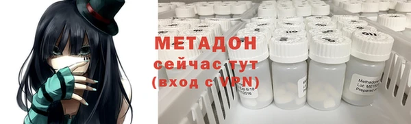 индика Ветлуга