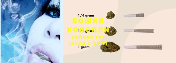 индика Ветлуга