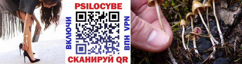 Псилоцибиновые грибы ЛСД  Барабинск 
