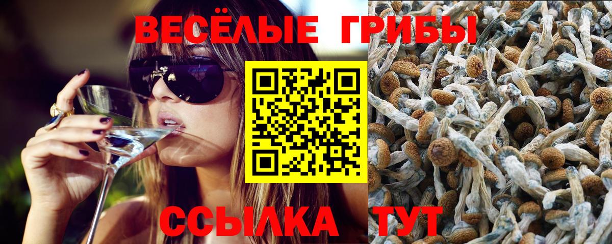 купить наркотики сайты  Вход с VPN  Барабинск  Псилоцибиновые грибы Cubensis  Псилоцибиновые грибы Magic Shrooms 